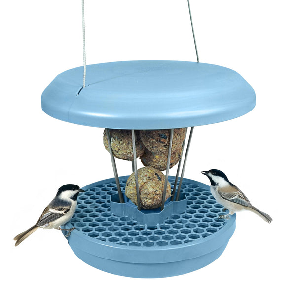 Smart Bird Feeder Lucerne | Hanging No Mess Station | Rat and Mouse Proof | Robin, Niger Seed Tray Catcher | Robust and Reliable | For Fat Balls |