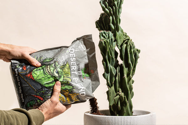 High Drainage Cactus Soil Potting Mix with Mycorrhizal Fungi - 8 Pounds / 4 Quarts of Soil for Succulents and Cactus - Slightly Acidic, Gritty Soil