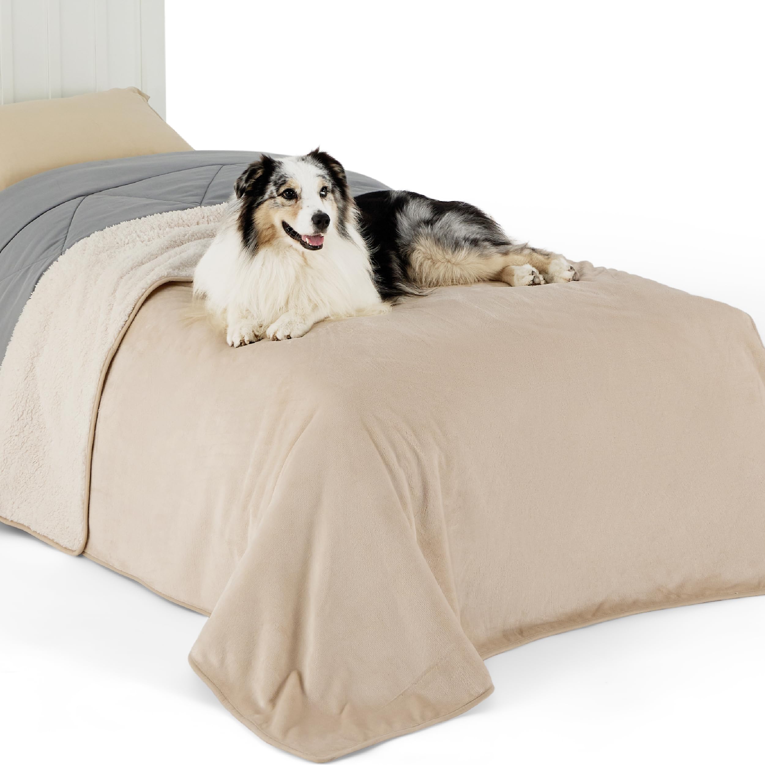 Lesure Waterproof Fleece Blanket Washable - 152x203cm Ultra Soft Grey Dog Blanket Over Sofa Bed Garden, Twin/Double Throw with Soft Plush, Fit All Season