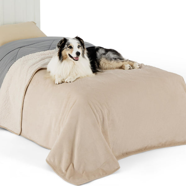 Lesure Waterproof Fleece Blanket Washable - 152x203cm Ultra Soft Grey Dog Blanket Over Sofa Bed Garden, Twin/Double Throw with Soft Plush, Fit All Season