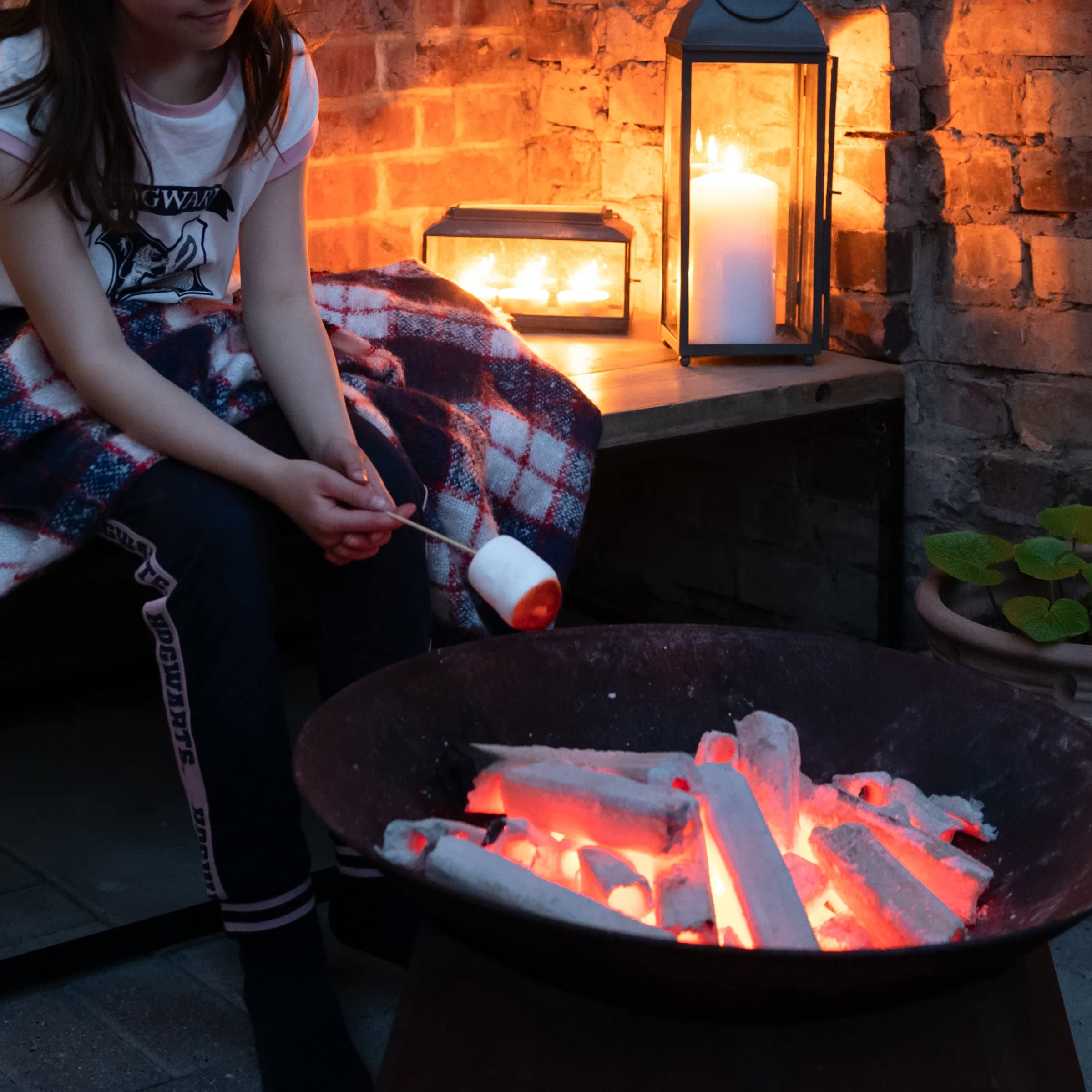 Emma Basic - White Charcoal Binchotan 10Kg | Konro Grill Charcoal | Smoke- Free | Odour-Free | Longer Burning