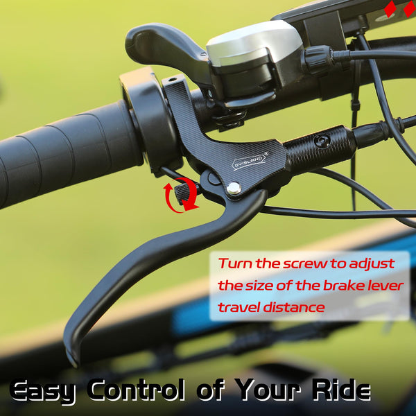 DYISLAND LD-200 2-Pistons Hydraulic Disc Brake Set for ebike,2-PIN Power-Off Electric Bike Hydraulic Brake kit?Hydraulic Brake Kits with mounting