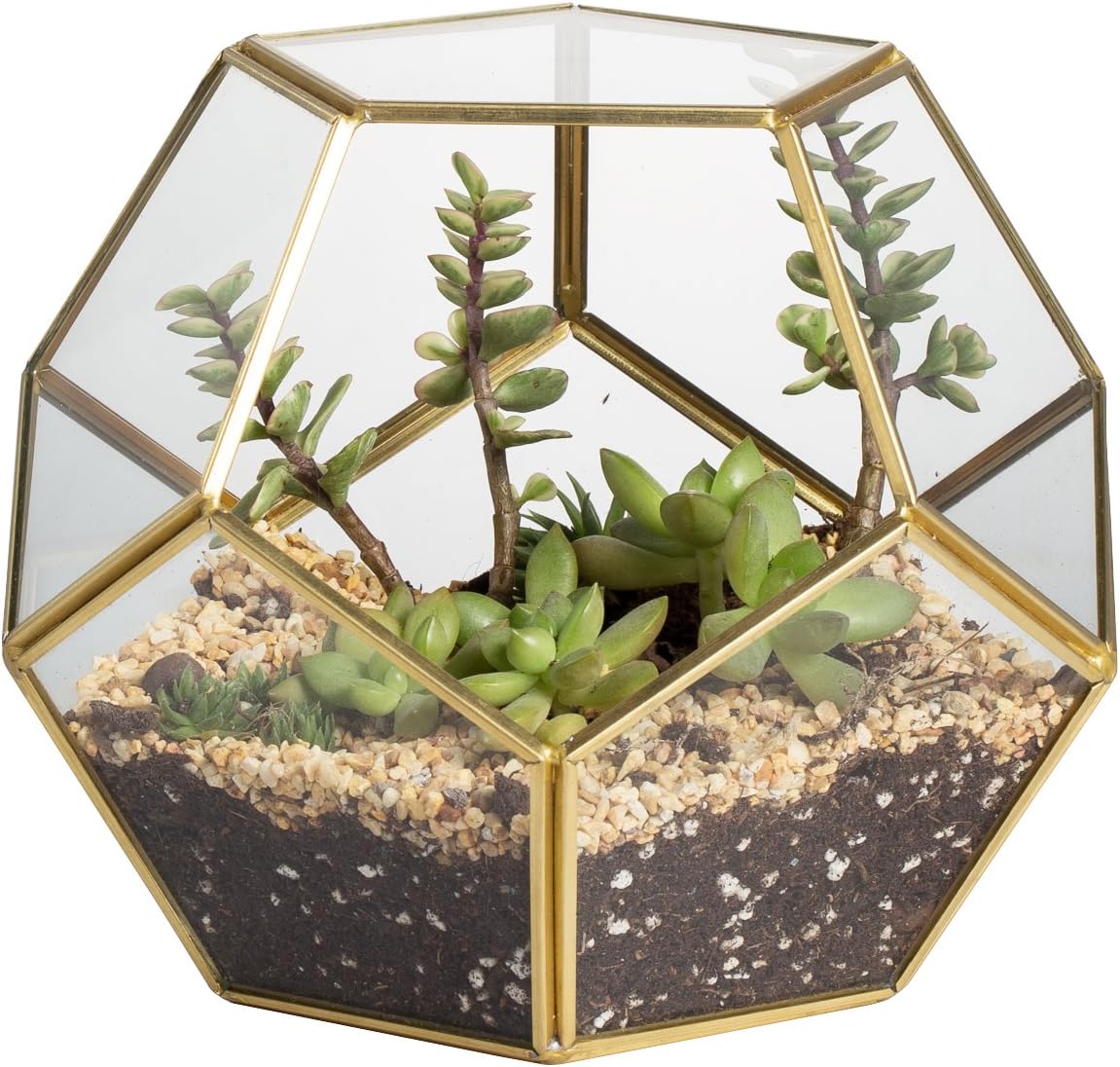 NCYP Geometric Glass Terrarium for Succulent - 17.5x17.5x15 cm Small Ball Shape Glass Display Planter Pot - Wedding Tabletop Centerpiece - Indoor Brass Decor, Gold (No Plants)