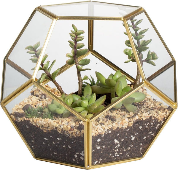 NCYP Geometric Glass Terrarium for Succulent - 17.5x17.5x15 cm Small Ball Shape Glass Display Planter Pot - Wedding Tabletop Centerpiece - Indoor Brass Decor, Gold (No Plants)