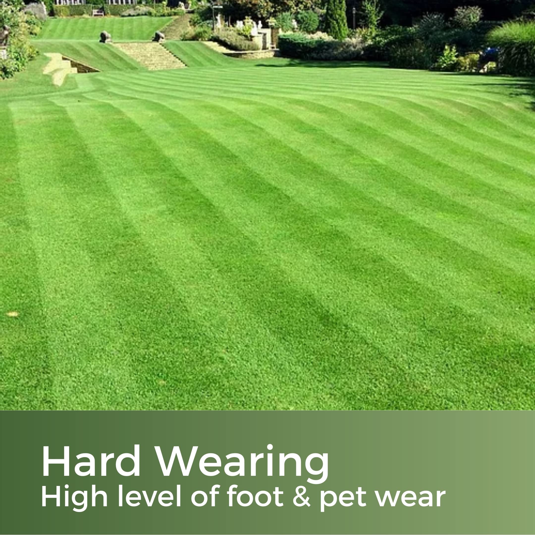 Fast Growing Grass Seed UK - Repair Lawns and Patches Quick - Pet Friendly & Hardwearing - 10kg - Garden Lawncare Guy