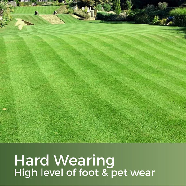 Fast Growing Grass Seed UK - Repair Lawns and Patches Quick - Pet Friendly & Hardwearing - 10kg - Garden Lawncare Guy