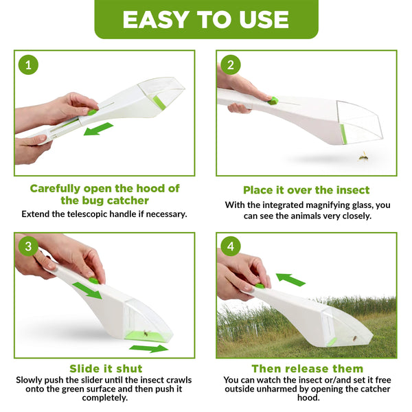 ISOTRONIC Catchy Katcha Bug Insect Spider Catcher with Magnifier Set of 3