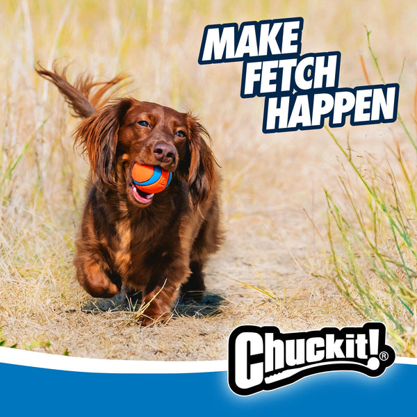 ChuckIt! Ultra Ball Dog Toy, Durable High Bounce Floating Rubber Dog Ball, Launcher Compatible Toy For Dogs, 2 Pack, Medium