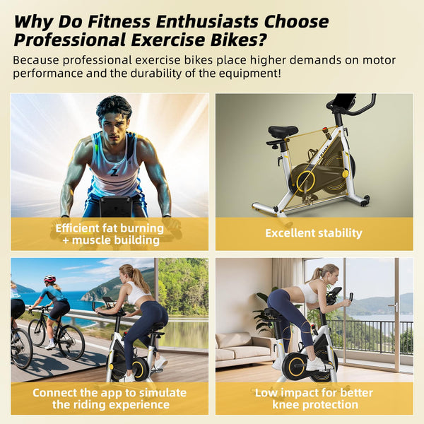 Exercise Bike, CHAOKE Stationary Bike for Home Fitness, Ultra-Quiet Magnetic Resistance Indoor Cycling Bike, Large Tablet Holder, Comfortable Seat, LCD Display, Strength Training