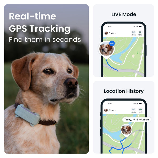 Tractive Smart Dog Tracker | 2025 Edition | Real-time GPS Tracking | Escape & Health Alerts | Vitals Monitoring | Market Leader (Black)