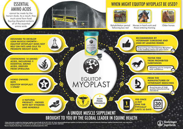EQUITOP? Myoplast - Muscle Supplement for Horses, 1.5 kg
