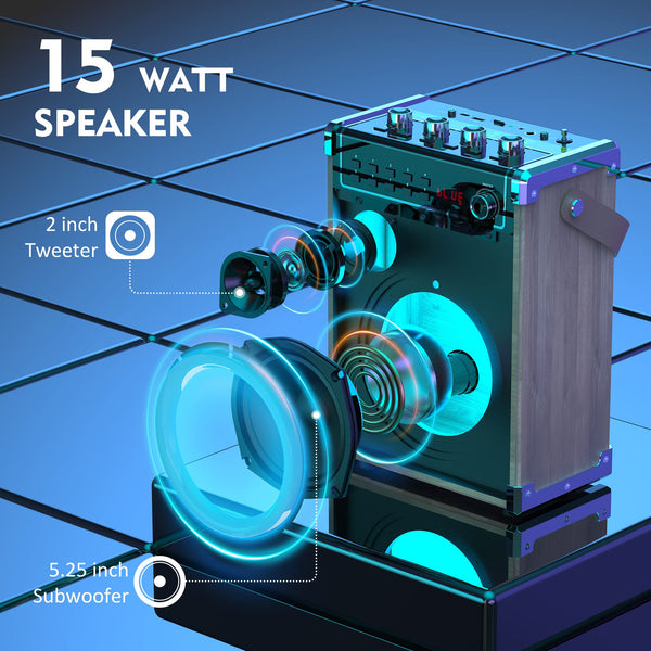 JYX Karaoke Machine with 2 UHF Wireless Microphones, Bass/Treble Bluetooth Speaker with LED Light, Support TWS, AUX In, FM, REC, Supply for Party/Adults/Kids