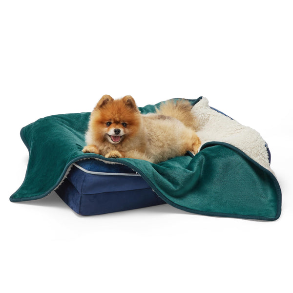 Lesure Waterproof Fleece Blanket Washable - 152x203cm Ultra Soft Grey Dog Blanket Over Sofa Bed Garden, Twin/Double Throw with Soft Plush, Fit All Season