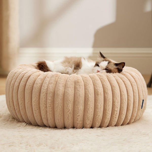 Bedsure Cat Bed for Indoor Cats - 51x51x15 cm Fluffy Cat Donut Bed with Corduroy Fleece & Anti Slip Bottom, Puppy Kitten Beds Washable with Removable Cover, Dark Grey