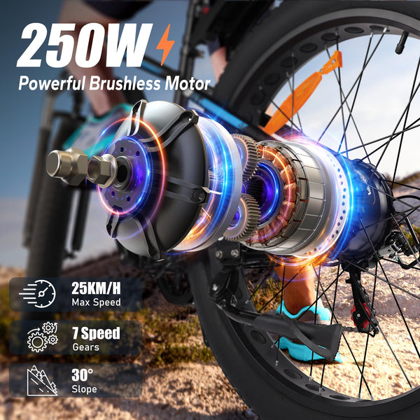 VARUN Electric Bike, 26 inch 4.0 Fat Tire Electric Mountain Bike with 48V18Ah/13Ah Battery, 250W Motor, Large LCD Meter, Aluminium E-fatbike for Adults, Range 100-150KM