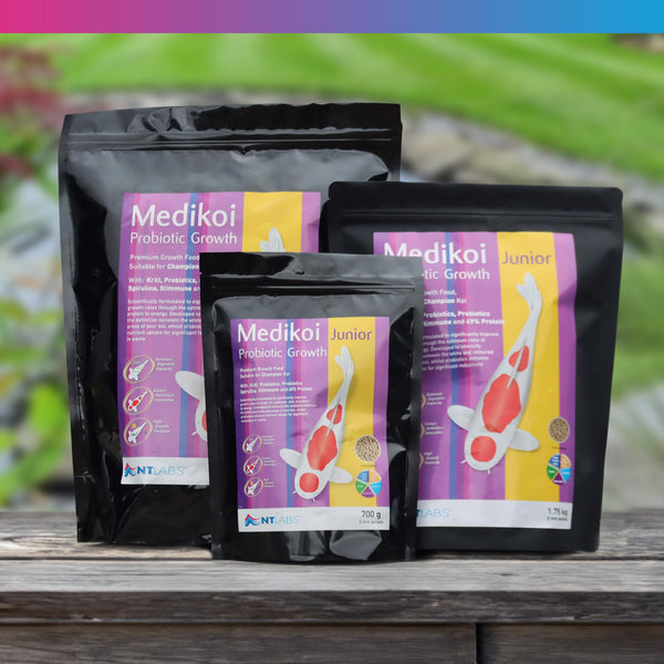 NT Labs Medikoi Probiotic Growth, Complete Feed For All Pond Fish, Ideal For Late Spring and Summer Feeding, High Protein Fish Feed, Maintains Immune