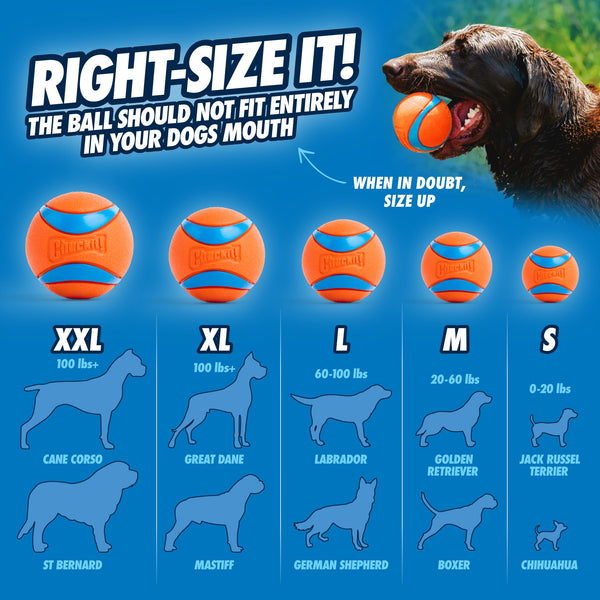 ChuckIt! Ultra Ball Dog Toy, Durable High Bounce Floating Rubber Dog Ball, Launcher Compatible Toy For Dogs, 2 Pack, Medium