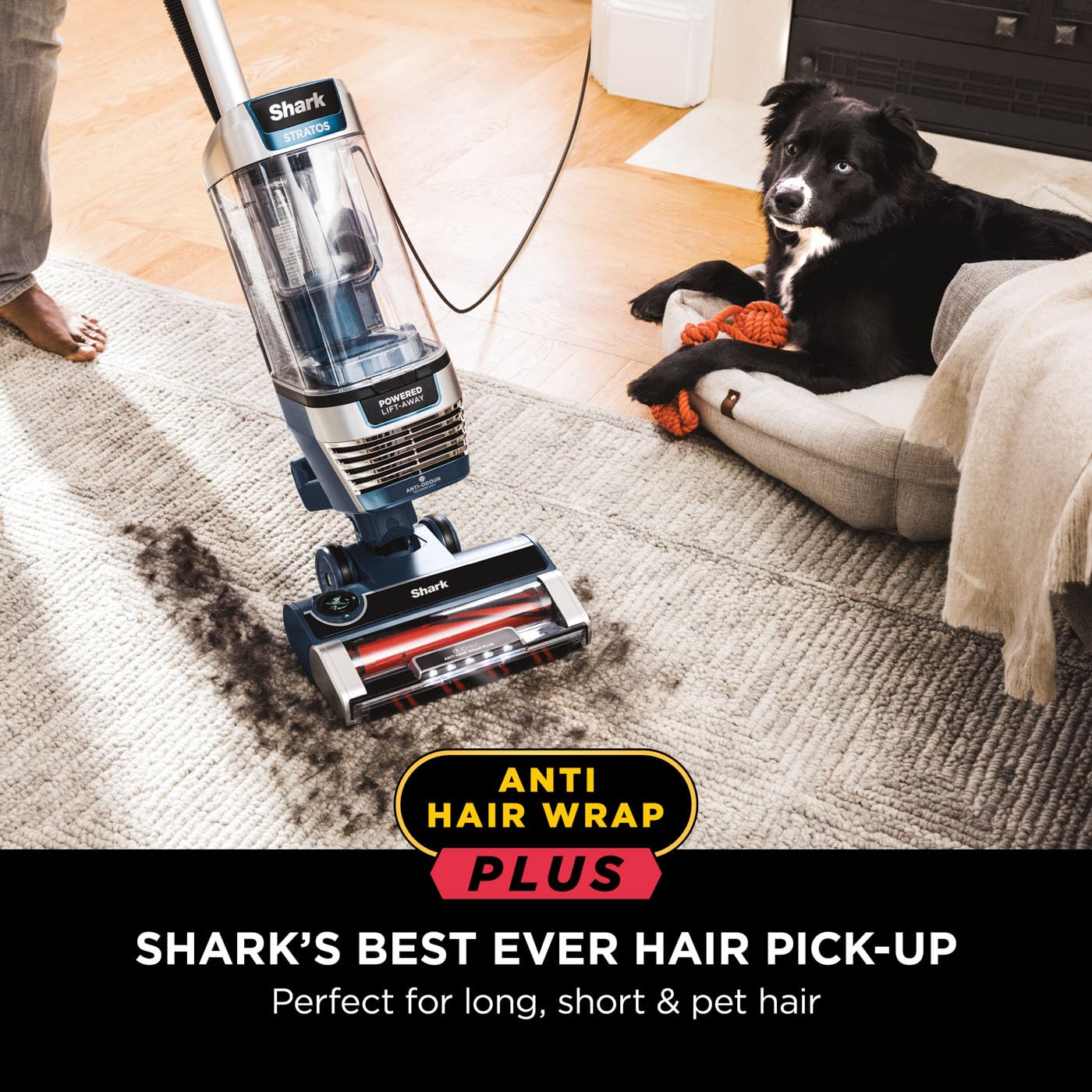 Shark PowerDetect Corded Upright Vacuum Cleaner, DuoClean Detect, Reverse Clean, Anti Hair Wrap Plus, Anti-Allergen, 8m Cord, 1.3L, Dusting Brush, Pet, Crevice, Multi Surface Tools & Bag, AZ3900UKTBK