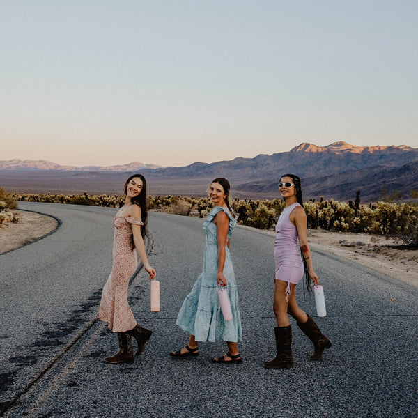 Insulated Water Bottle 700ml(24oz) with Straw, Lid, and Handle - Stainless Steel Sports Travel Gym Bottle for Men and Women (Skiing)