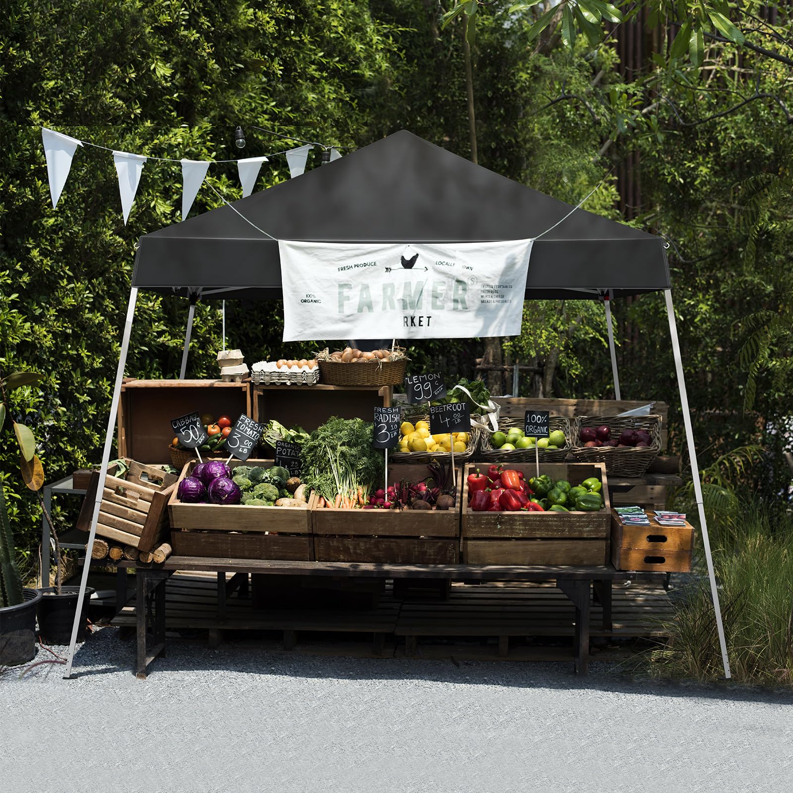 Outopee 3m x 3m Ez Pop Up Canopy Tent with 4 SideWalls, Outdoor Gazebo Portable Instant Canopy for Commercial Events, Party, Backyard BBQ, Camping, Blue