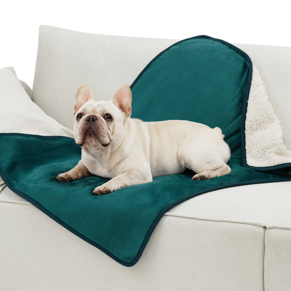 Lesure Waterproof Fleece Blanket Washable - 152x203cm Ultra Soft Grey Dog Blanket Over Sofa Bed Garden, Twin/Double Throw with Soft Plush, Fit All Season