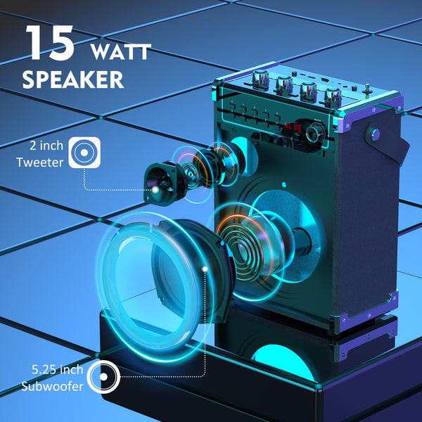 JYX Karaoke Machine with 2 UHF Wireless Microphones, Bass/Treble Bluetooth Speaker with LED Light, Support TWS, AUX In, FM, REC, Supply for Party/Adults/Kids