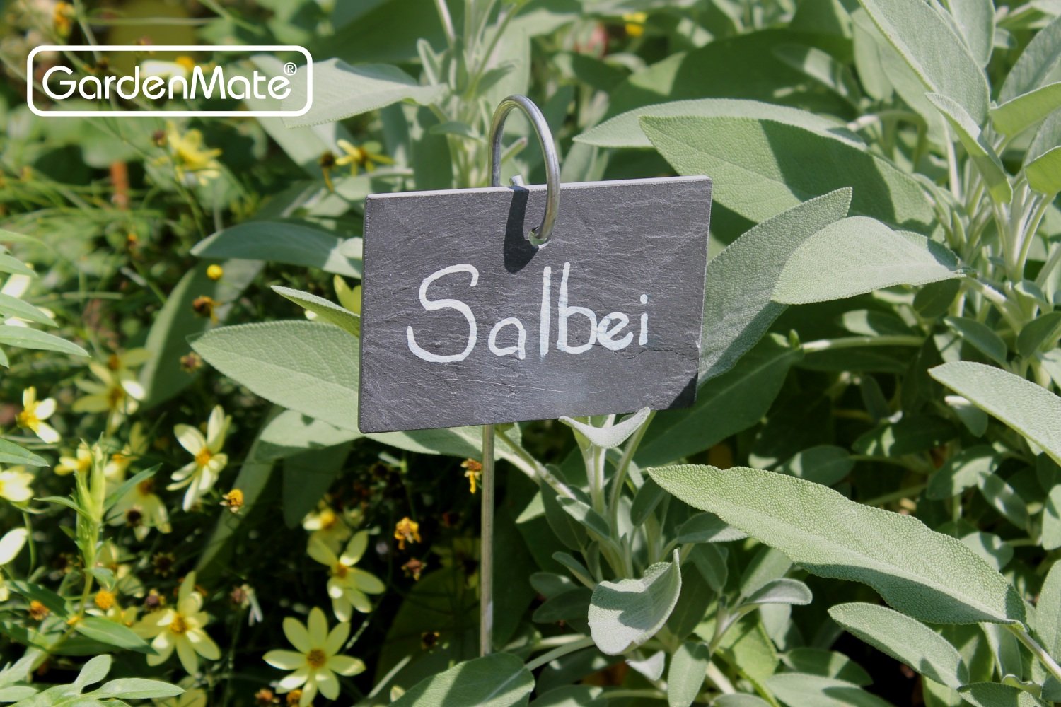 GardenMate Set of 10 Modern Style Slate Plant Labels (10x7 centimetres) Hanging from a Stainless Steel Metal Rod (55 centimetres)