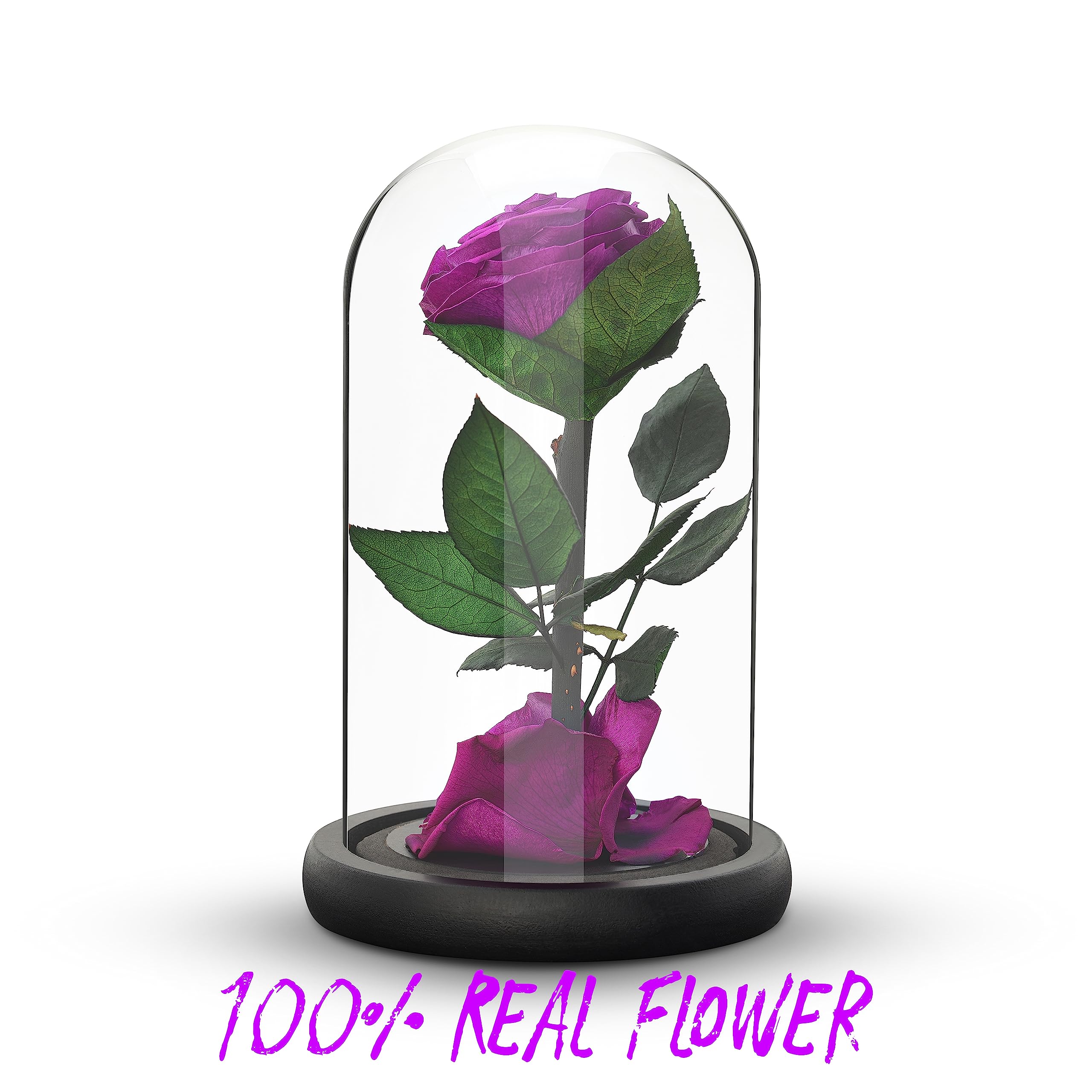 Eternal Forever Rose | Fresh Rose Gift | Single Rose Preserved for 5 Years | Handcrafted | Gifts for Women Birthday unique Unusual | Mothers Day,