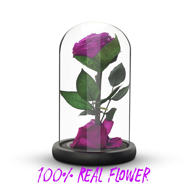 Eternal Forever Rose | Fresh Rose Gift | Single Rose Preserved for 5 Years | Handcrafted | Gifts for Women Birthday unique Unusual | Mothers Day,