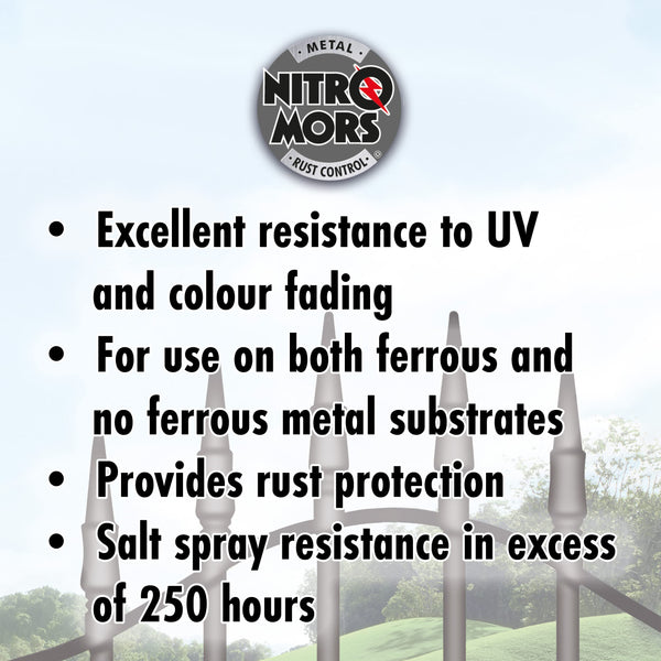 Nitromors Anti-Rust Metal Primer Fast Drying Rust Resistant for Water & Oil Based Topcoats, Red Oxide, 250 ml