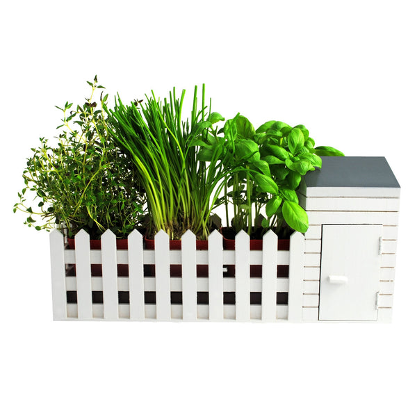 Oliphant Indoor Allotment Gift Set Herb Garden