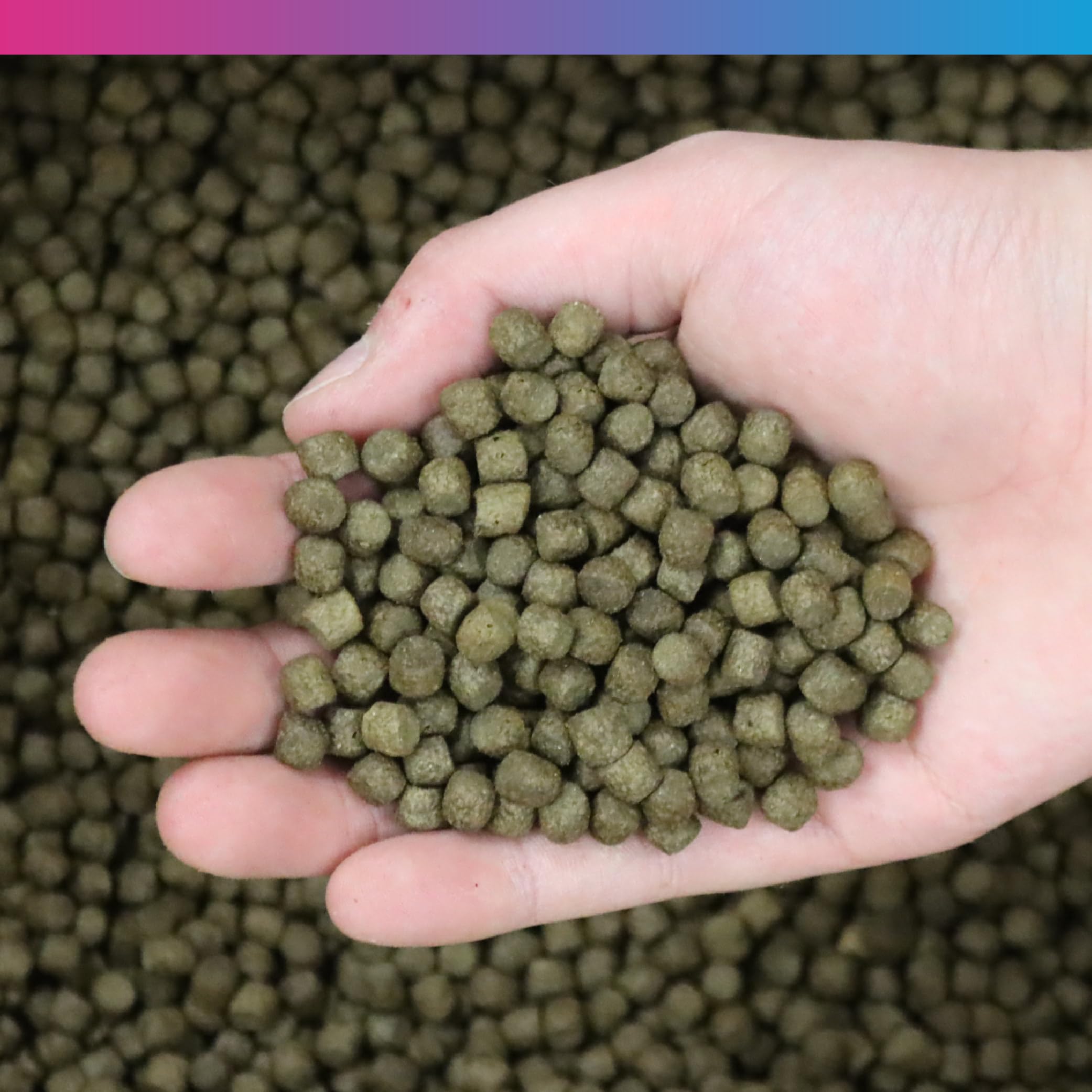 NT Labs Medikoi Probiotic Growth, Complete Feed For All Pond Fish, Ideal For Late Spring and Summer Feeding, High Protein Fish Feed, Maintains Immune