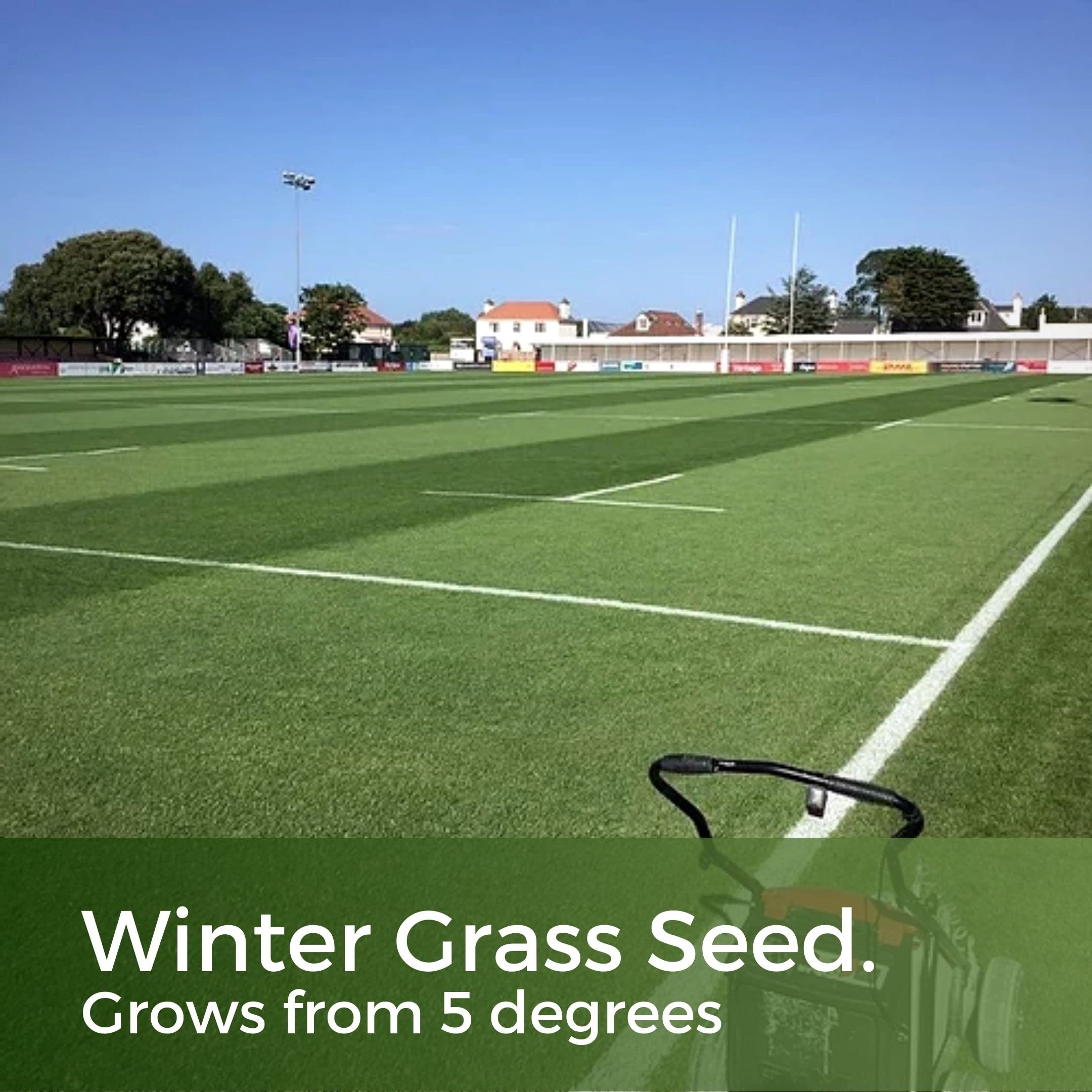 ColdPro for Fast Growing Winter Grass Seeds - Germinates with Low Soil Temperatures - Hard Wearing Lawn - Garden Lawncare Guy (5kg)