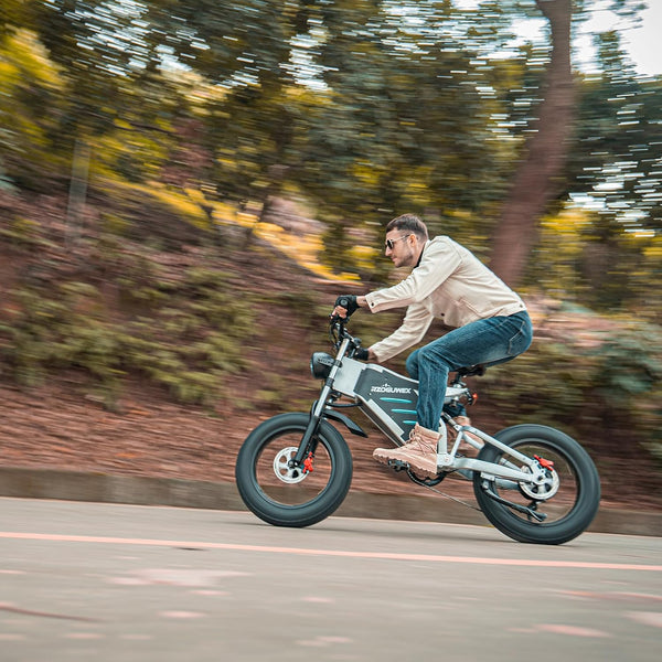 RZOGUWEX Electric Bicycle，20 Inch Off-Road EBIKE for Adults with 48V 25AH Detachable Lithium Ion Battery, 7 Speed Snow Bike with Dual Shock Absorbers and Brush-less Motor