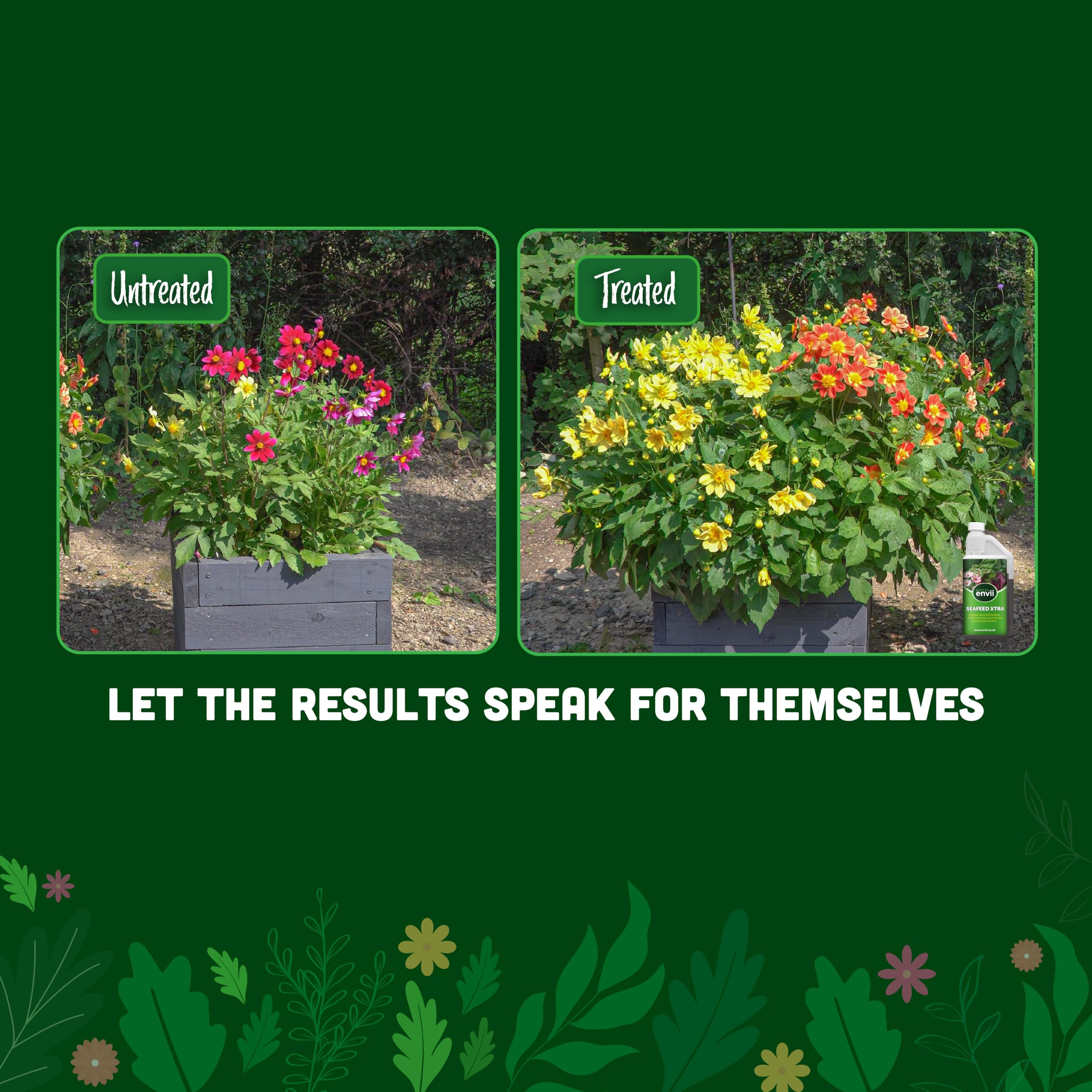 envii SeaFeed Xtra ? Organic Liquid Seaweed Fertiliser, Outdoor Plant Food Ideal for all Plants, Lawns, Gardens and House Plants, Rich in Additional