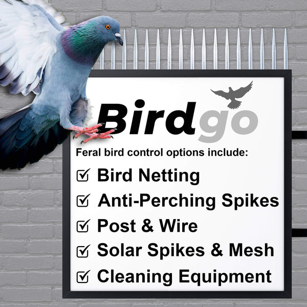 Birdgo Solar Panel Roof Mesh Fixing Clips - No Drill Installation of Bird Proofing Mesh to Stop Pigeon Bird Access (Nylon, Pack of 60)