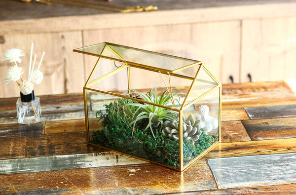 House Shape Close Glass Geometric Terrarium Tabletop Succulent Plant House Garden Planter Moss Fern Swing Lid, Flower Pot for Plants Succulent, Air