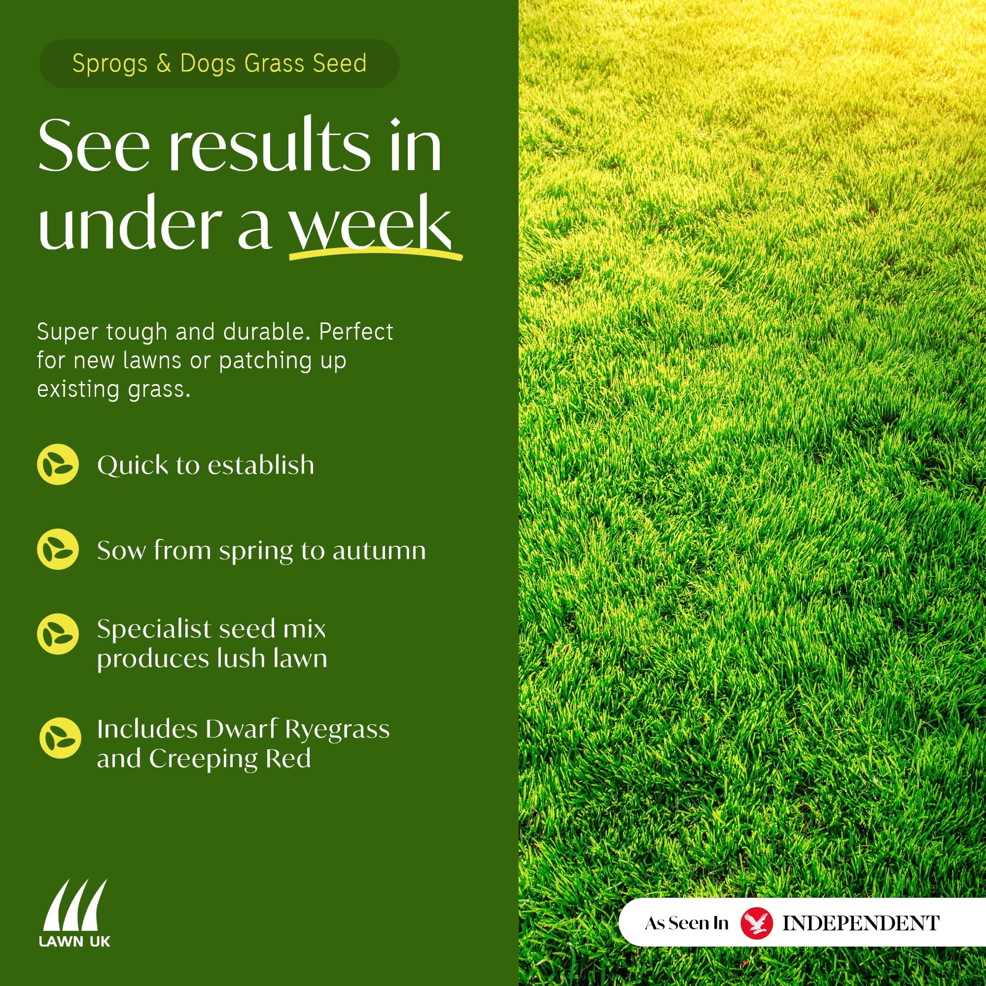 Sprogs & Dogs Ultra Hardwearing Grass Seed by Lawn UK - 4kg Up to 120sqm Coverage - Ultimate Tough Grass Seed for Family lawns - Fast Growing & Super