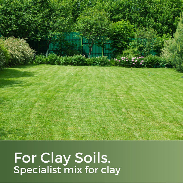 Clay King - Grass Seed for Clay Soil UK - Deep Rooting for Clay Lawns and New Builds - 10kg - Garden Lawncare Guy