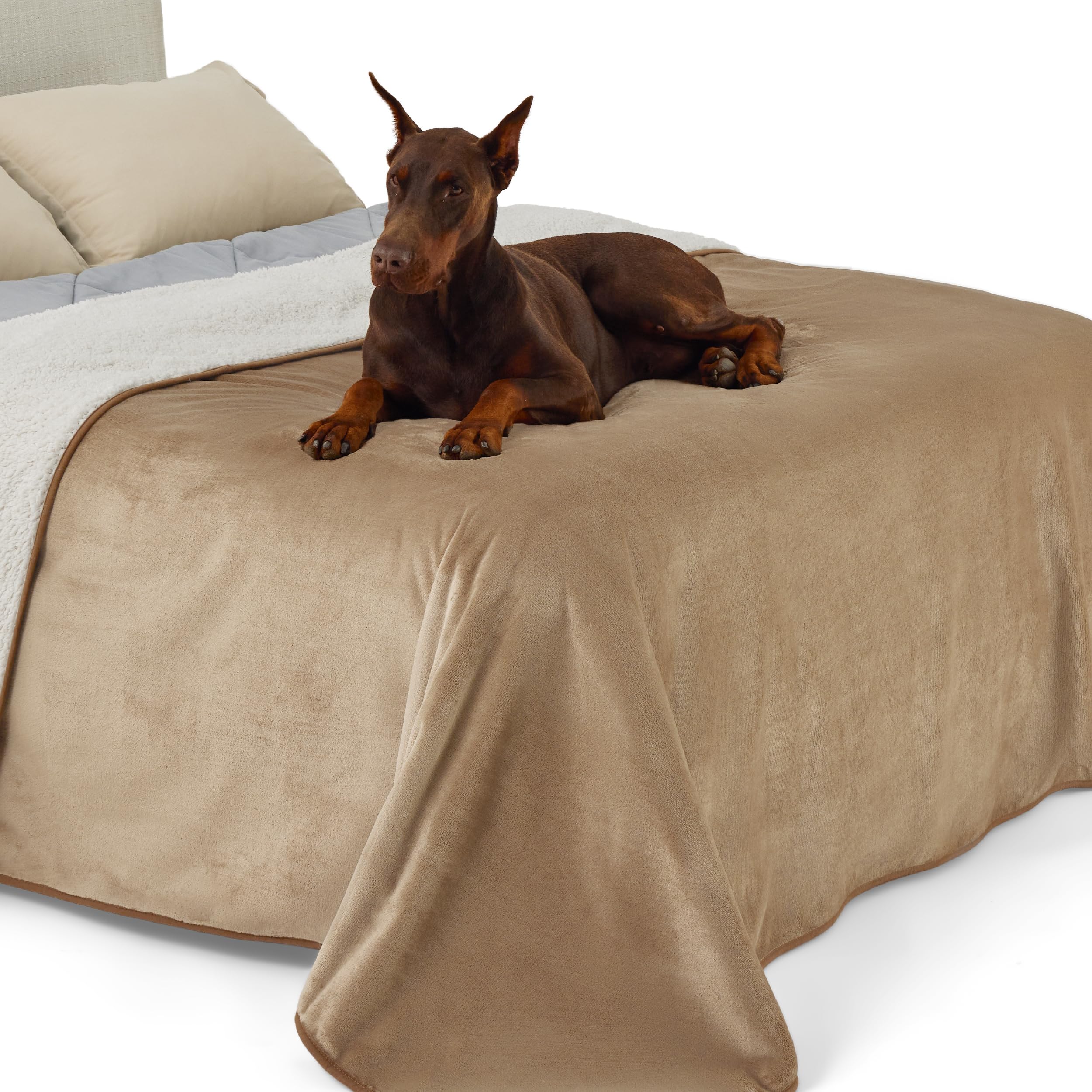 Lesure Waterproof Fleece Blanket Washable - 152x203cm Ultra Soft Grey Dog Blanket Over Sofa Bed Garden, Twin/Double Throw with Soft Plush, Fit All Season