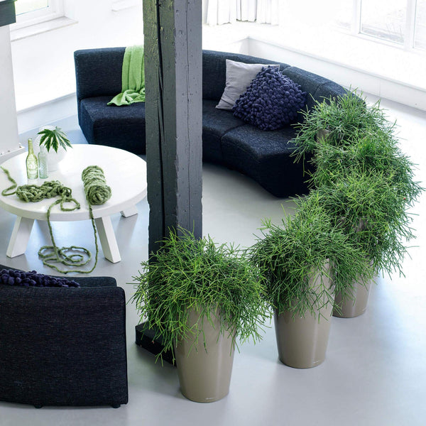 Lechuza RONDO 40 Self Watering Planter Large Plastic Indoor and Outdoor Plant Pot with Drainage Hole D40 H75 cm White High-Gloss