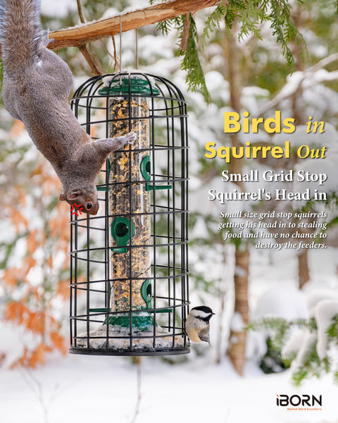 iBorn Squirrel Proof Bird Feeder Pigeon Proof Cage Bird Feeder for Outside with Squirrel, Pestoff Hanging Wild Bird Seed Feeder for Mix Seed Blends,
