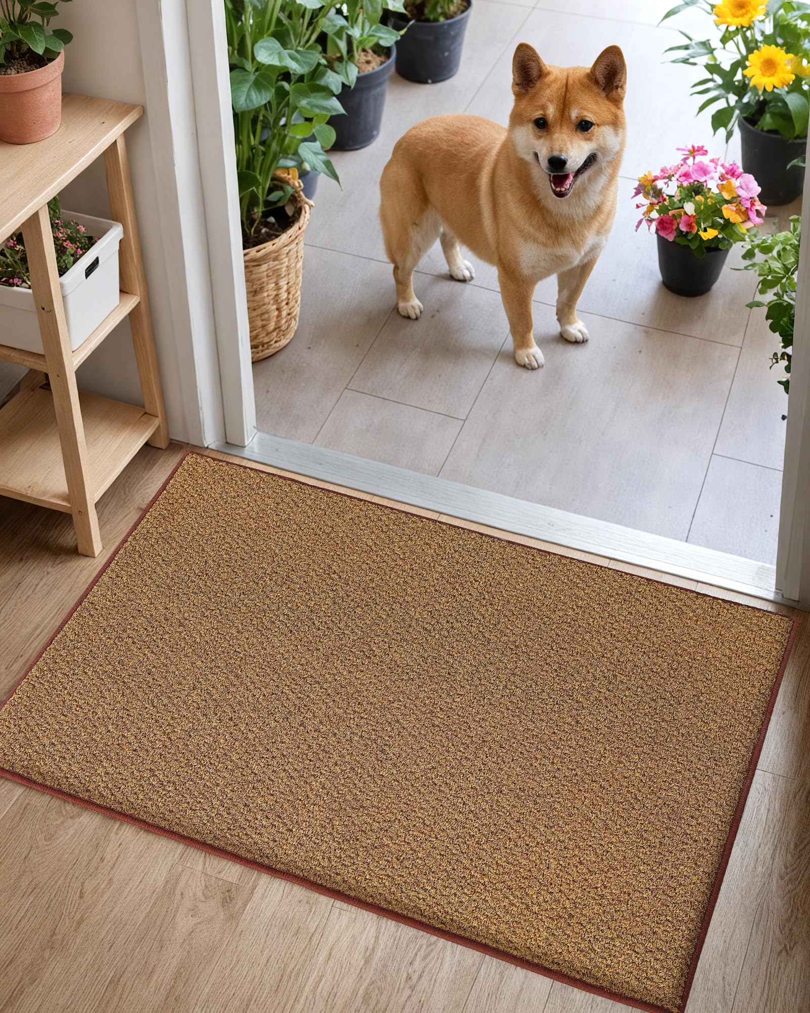 COLOR&GEOMETRY Dirt Trapper Door Mat, Heavy Duty Front Door Mat for Indoor and Outdoor, Non Slip Rubber Backing Door Matts Indoor, Machine Washable