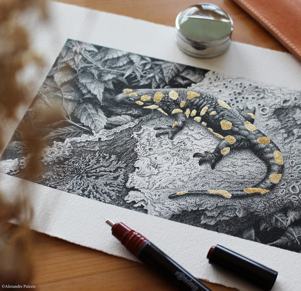 rOtring Isograph Pen Set Technical Pen & Pencil College Set | 3 Pens (0.20mm0.30mm0.50mm) and Mechanical Pencil (0.5mm) + Accessories