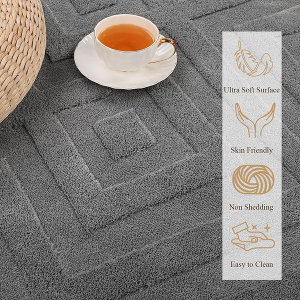 Enyhom Washable Area Rug, Large Soft Geometric Rugs for Bedroom Modern Design Rugs Living Room Non Slip Carpet Stain Resistant Mat for Kitchen Dining