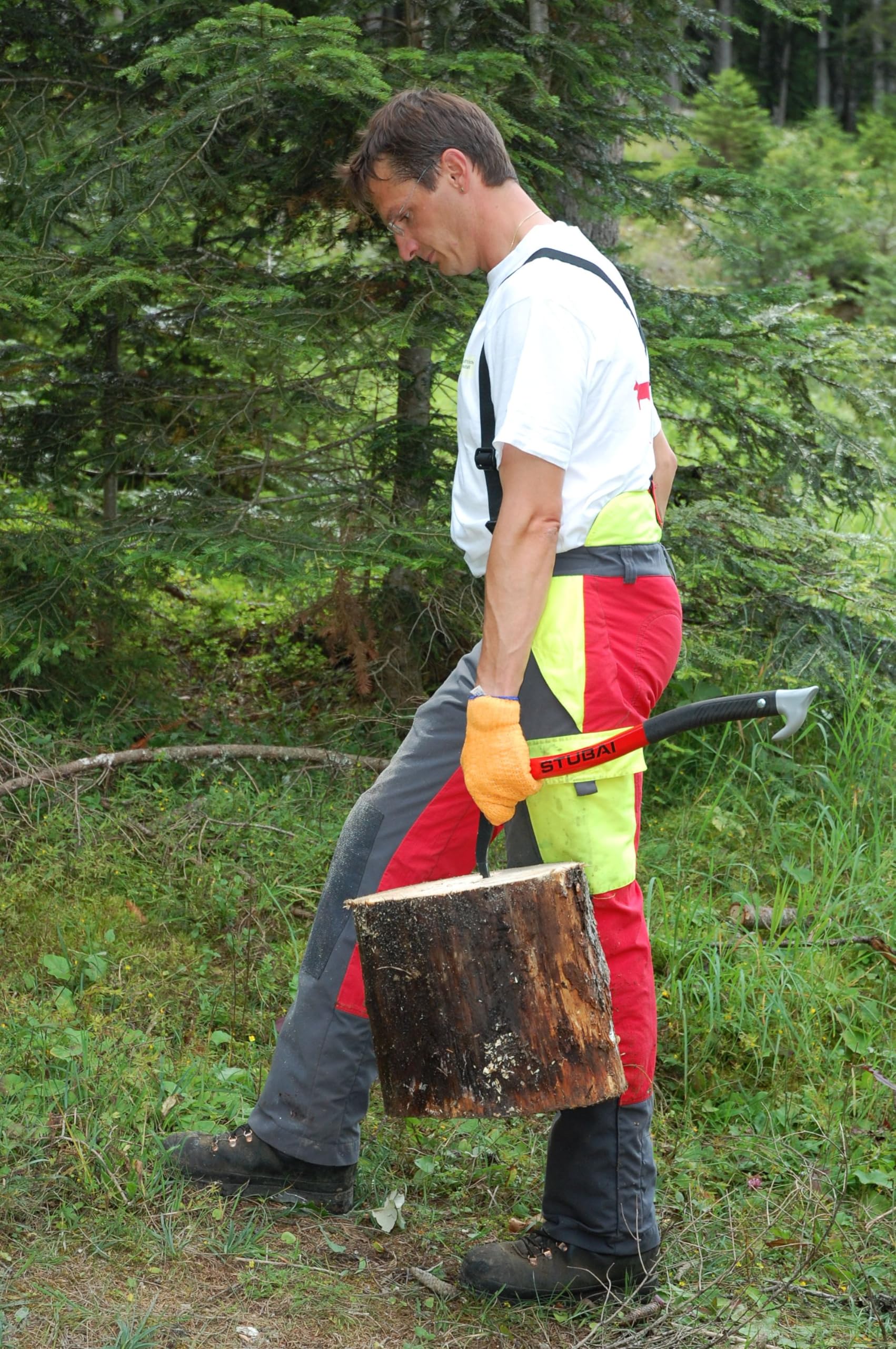 Greenstar 10797 Aluminium Handled Log Lifting Pick 450 g, Black, 511421