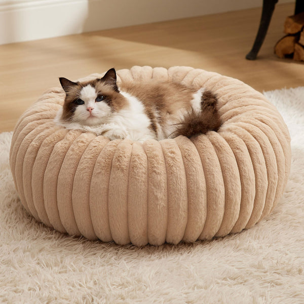 Bedsure Cat Bed for Indoor Cats - 51x51x15 cm Fluffy Cat Donut Bed with Corduroy Fleece & Anti Slip Bottom, Puppy Kitten Beds Washable with Removable Cover, Dark Grey