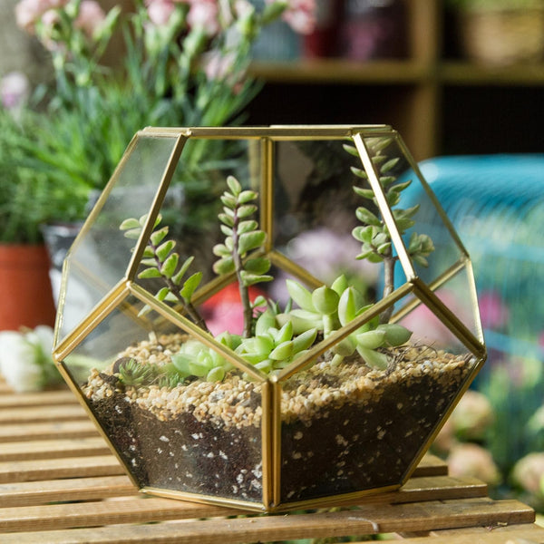 NCYP Geometric Glass Terrarium for Succulent - 17.5x17.5x15 cm Small Ball Shape Glass Display Planter Pot - Wedding Tabletop Centerpiece - Indoor Brass Decor, Gold (No Plants)