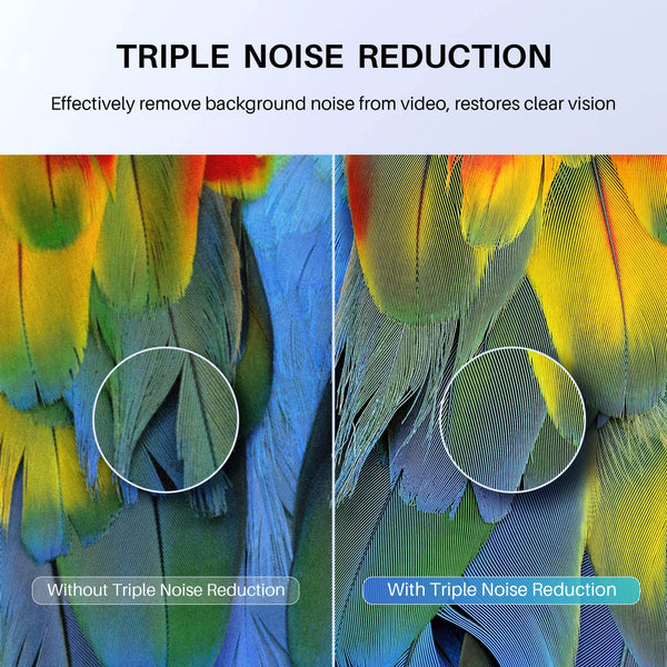 RCA RB24H2CU 24" inchFreeview HD TV DVB-T2/C/S2 Dolby Digital Audio, LED Backlighting Display, HDMI VGA PC SCART USB Travel Small TV for Motorhome and Campervan,Caravans,12 Volt