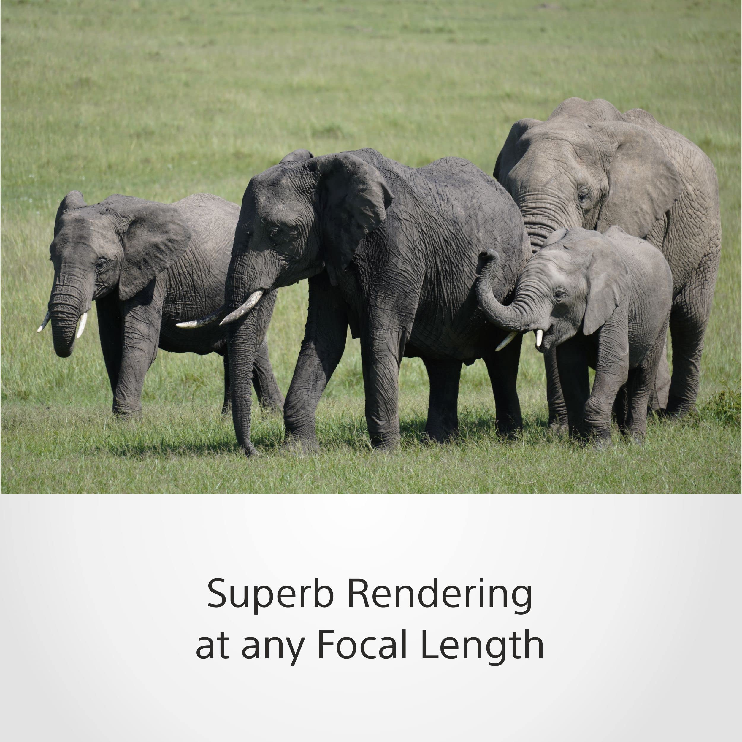 Sony E 70-350mm f/4.5-6.3 G OSS | APS-C, Zoom, Super Telephoto Lens (SEL70350G)